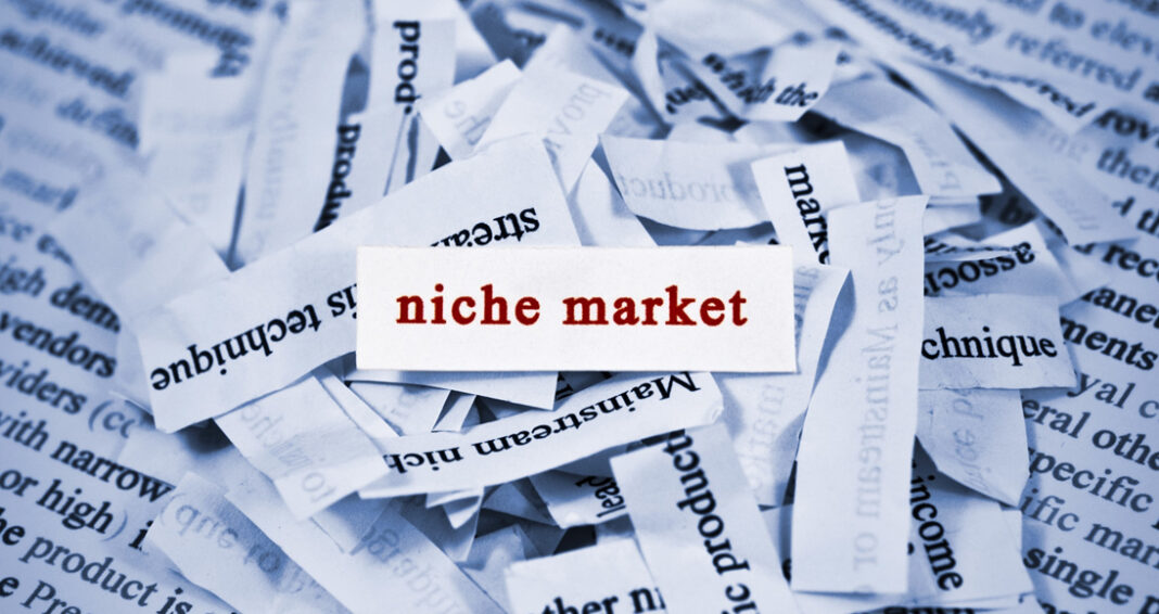 Veja neste artigo qual é a relação entre nichos de mercado e o e-commerce. Conheça as vantagens para o pequeno empreendedor que dá preferência a usar os nichos de mercado para estruturar a sua loja virtual.